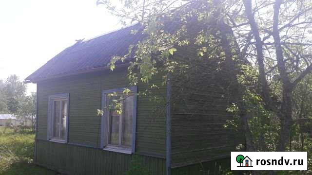 Дача 40 м² на участке 6 сот. на продажу на Лугах Луга - изображение 1
