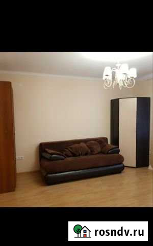 1-комнатная квартира, 42 м², 1/4 эт. в аренду на длительный срок в ЛМС ЛМС - изображение 1