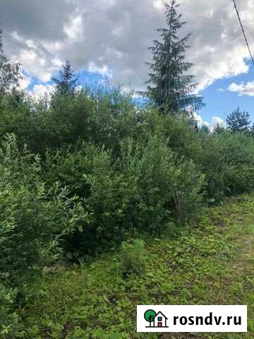 Участок ИЖС 15 сот. на продажу в Сиверском Сиверский - изображение 1