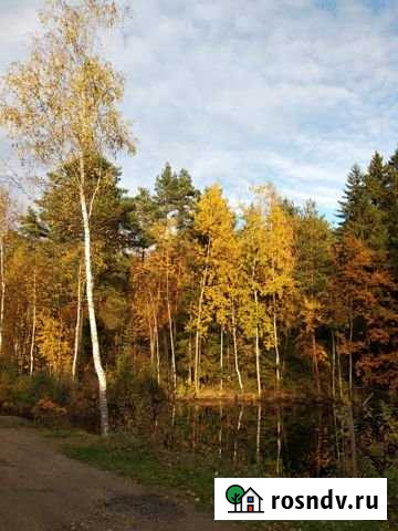 Участок ИЖС 15 сот. на продажу в Тучково Тучково - изображение 1