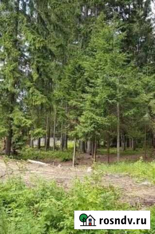 Участок СНТ, ДНП 6 сот. на продажу в Волхове Волхов - изображение 1