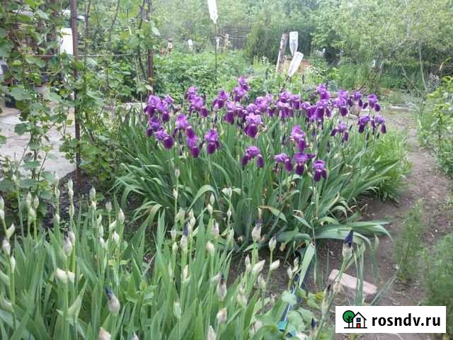 Дача 25 м² на участке 5.5 сот. на продажу в Астрахани Астрахань - изображение 1