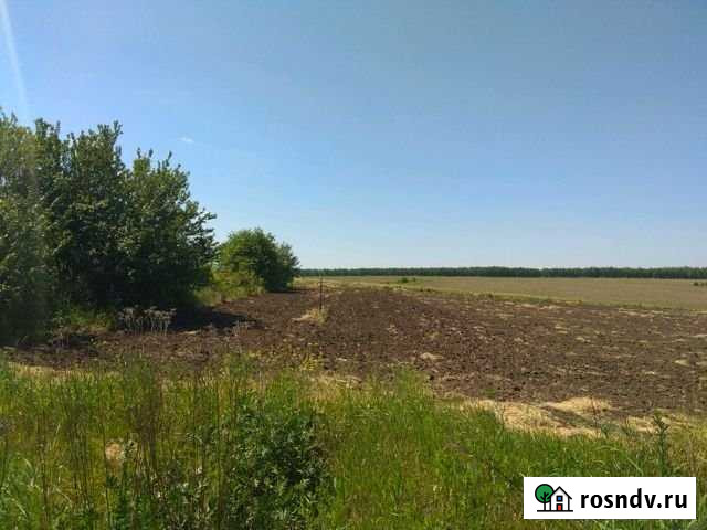 Участок ИЖС 30 сот. на продажу в Воронеже Воронеж - изображение 1