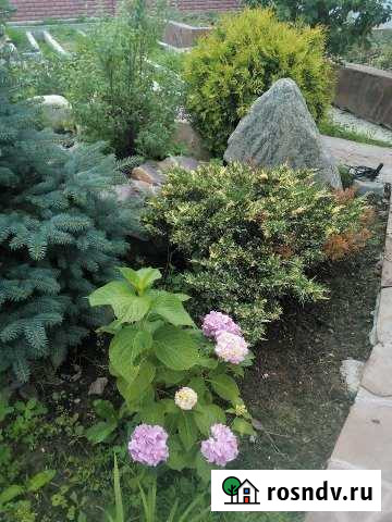 Комната 10 м² в 2-ком. кв., 3/3 эт. в аренду посуточно в Видном Видное - изображение 1