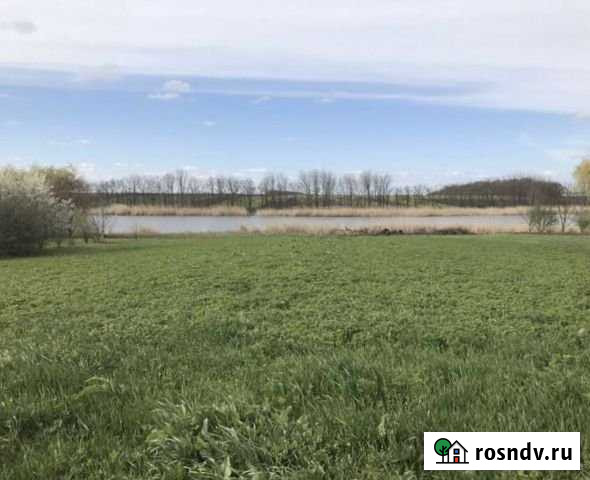 Участок ИЖС 18 сот. на продажу в Воронежской Воронежская - изображение 1