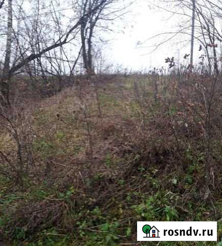 Участок ИЖС 10 сот. на продажу в Заволжье Заволжье - изображение 1