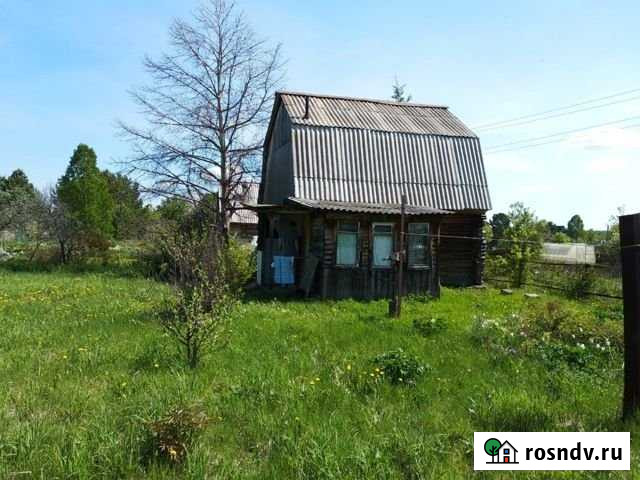 Дача 40 м² на участке 12 сот. на продажу в Горном Новосибирской области Горный - изображение 1