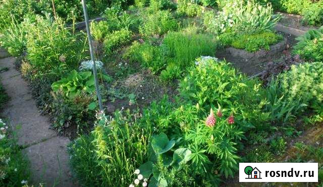 Участок СНТ, ДНП 7 сот. на продажу в Кимрах Кимры - изображение 1