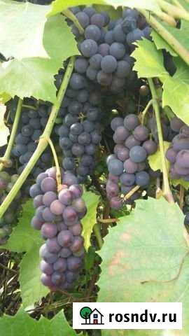 Дача 50 м² на участке 7.1 сот. на продажу в Туле Тула - изображение 1