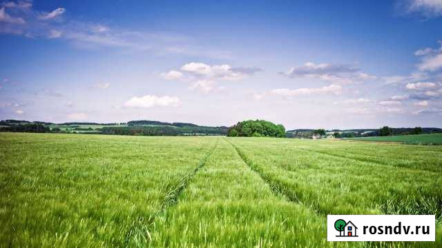 Участок СНТ, ДНП 59 сот. на продажу в Челябинске Челябинск - изображение 1