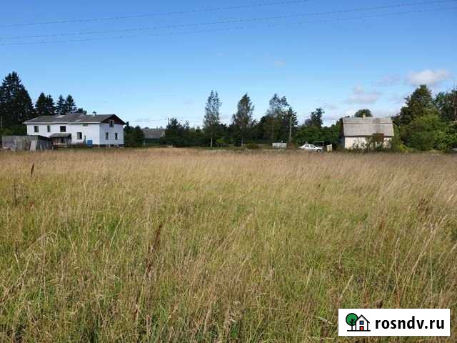 Участок ИЖС 30 сот. на продажу в Ивангороде Ивангород - изображение 1