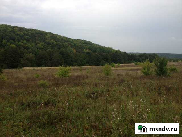 Участок СНТ, ДНП 500 сот. на продажу в Чамзинке Чамзинка - изображение 1