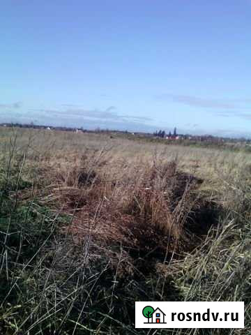 Участок СНТ, ДНП 300 сот. на продажу в Гостилицах Гостилицы - изображение 1