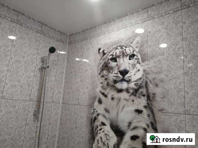 2-комнатная квартира, 47 м², 1/5 эт. на продажу в Дзержинске Дзержинск - изображение 1