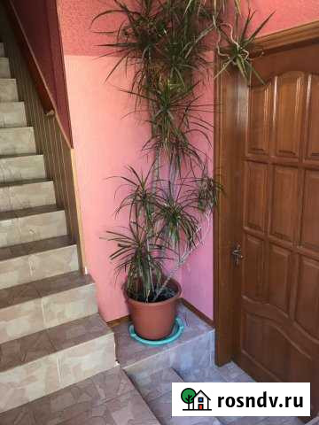 Квартира-студия, 21 м², 1/2 эт. в аренду посуточно в Севастополе Севастополь - изображение 1