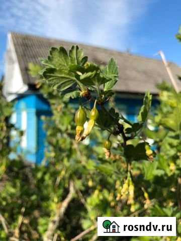 Дом 70 м² на участке 18 сот. на продажу в Жуковке Жуковка - изображение 1