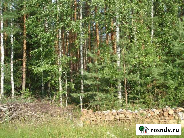 Участок ИЖС 10 сот. на продажу в Некрасовском Ярославской области Некрасовское - изображение 1