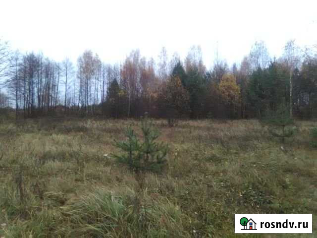 Участок ИЖС 15 сот. на продажу в Павловском Посаде Павловский Посад - изображение 1