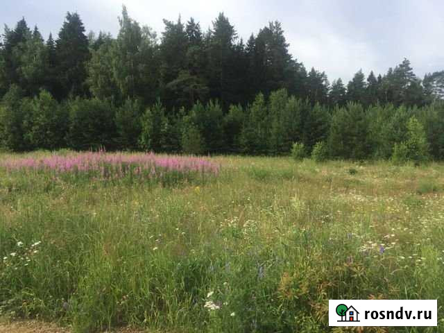Участок СНТ, ДНП 25 сот. на продажу в Поварово Поварово - изображение 1