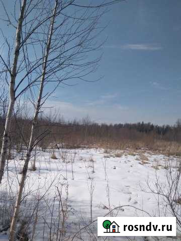 Участок СНТ, ДНП 6 сот. на продажу в Кингисеппе Кингисепп - изображение 1