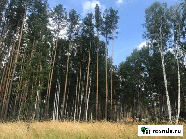 Участок ИЖС 15 сот. на продажу в Сысерти Сысерть - изображение 1