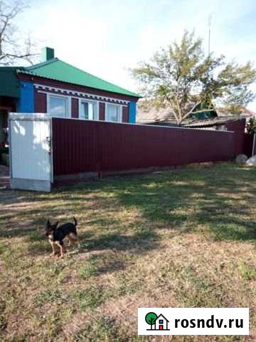 Дача 56 м² на участке 30 сот. на продажу в Глебовке Глебовка - изображение 1