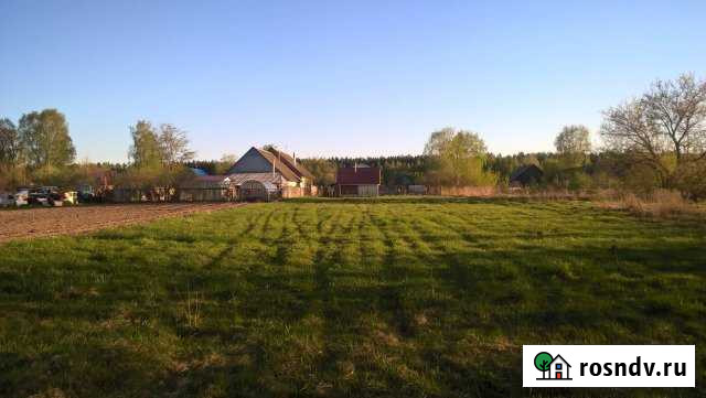 Участок ИЖС 11 сот. на продажу в Бору Бор - изображение 1