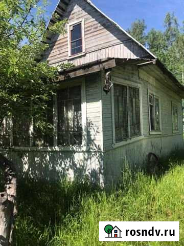 Дача 46 м² на участке 6 сот. на продажу в Синявино Синявино - изображение 1