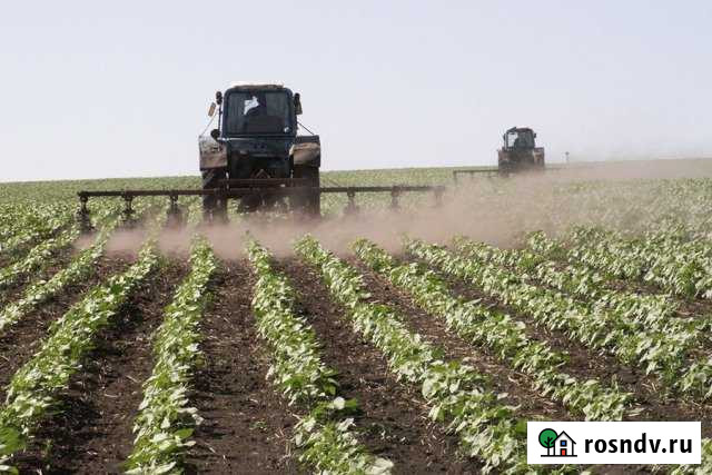 Участок СНТ, ДНП 6700 сот. на продажу в Красноярске Красноярск - изображение 1