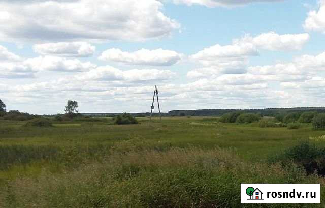 Участок СНТ, ДНП 54 сот. на продажу в Арзамасе Арзамас - изображение 1