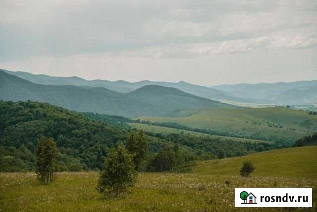 Участок СНТ, ДНП 6358 сот. на продажу в Белокурихе Белокуриха - изображение 1