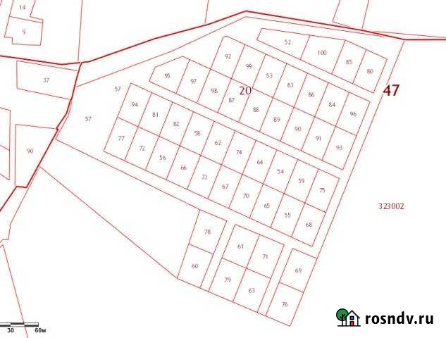 Участок СНТ, ДНП 24 сот. на продажу в Сосновом Бору Сосновый Бор - изображение 1