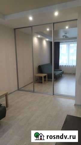 1-комнатная квартира, 35 м², 7/10 эт. в аренду на длительный срок в Кудрово Кудрово - изображение 1