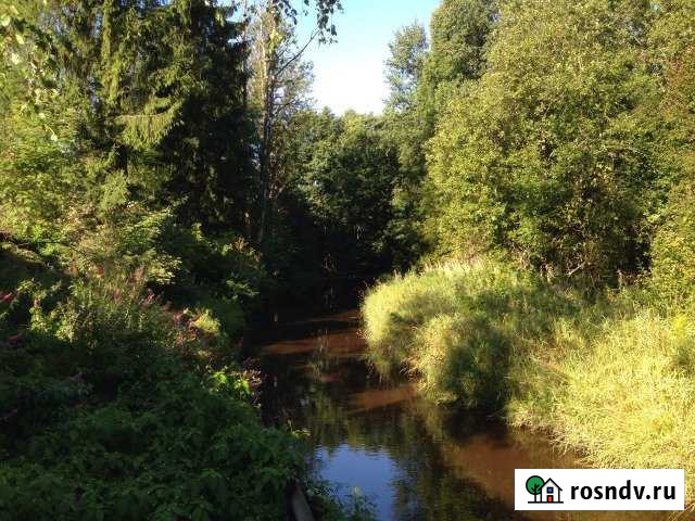 Участок ИЖС 16 сот. на продажу в Сертолово Сертолово - изображение 1