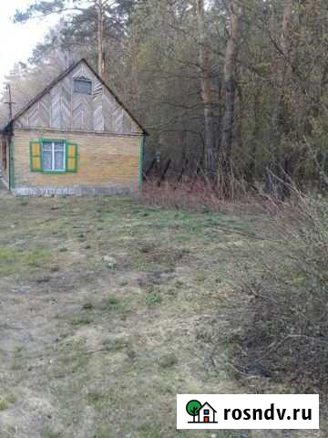 Дача 25 м² на участке 4 сот. на продажу в Новых Зорях Новые Зори - изображение 1