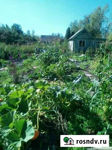 Участок СНТ, ДНП 6 сот. на продажу в Воровского Воровского - изображение 1