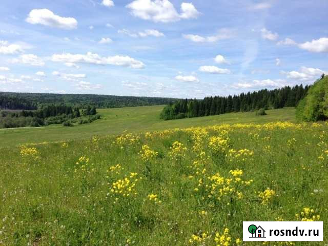 Участок СНТ, ДНП 11 сот. на продажу в Полазне Полазна - изображение 1