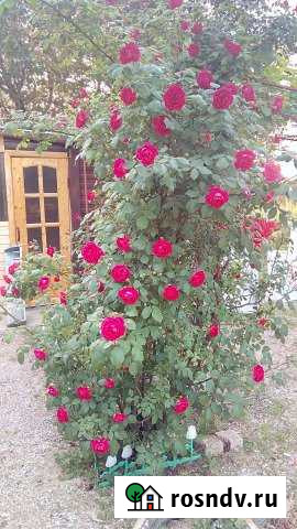 Дом 48 м² на участке 10 сот. на продажу в Ейске Ейск - изображение 1