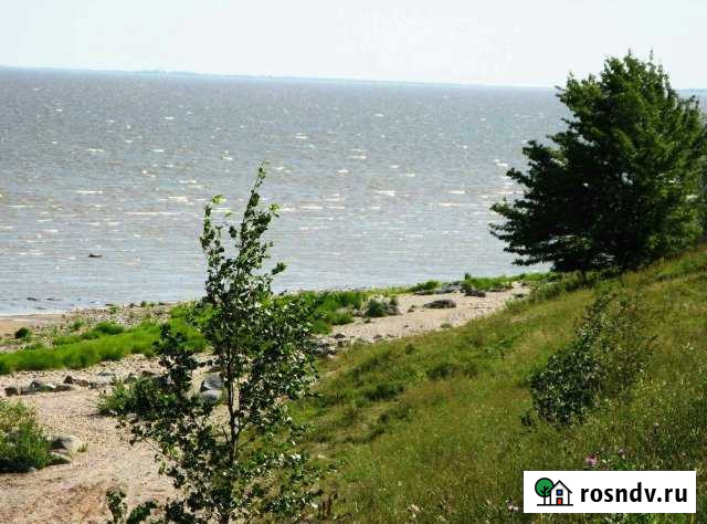 Участок СНТ, ДНП 100 сот. на продажу в Старой Руссе Старая Русса - изображение 1