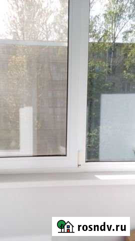 1-комнатная квартира, 31 м², 2/5 эт. на продажу в Санкт-Петербурге Санкт-Петербург - изображение 1