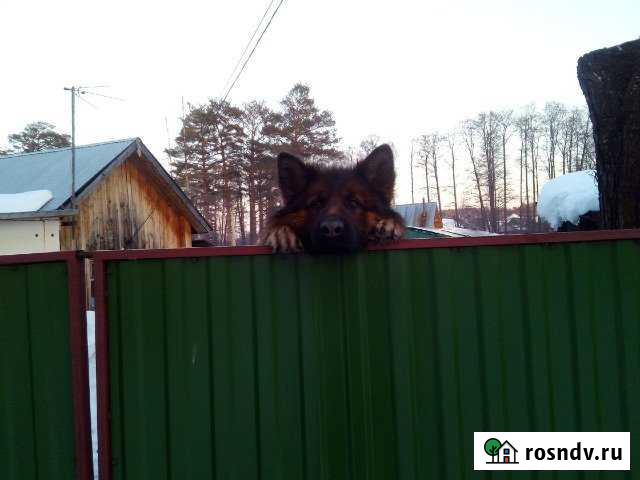 Дом 50 м² на участке 9 сот. на продажу в Чайковском Чайковский - изображение 1