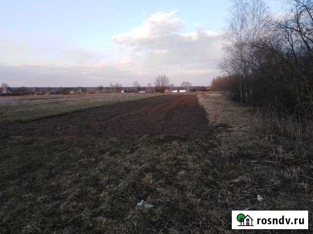 Дом 27 м² на участке 43 сот. на продажу в Лесном Рязанской области Лесной - изображение 1