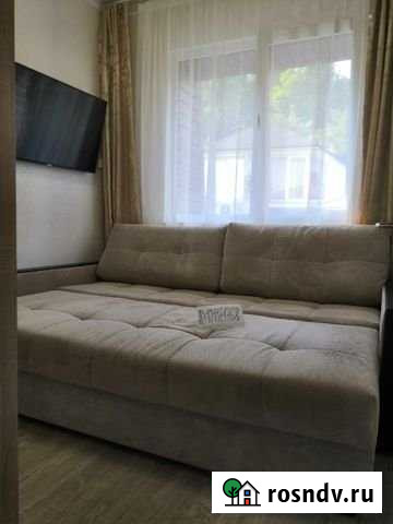 2-комнатная квартира, 42 м², 3/3 эт. в аренду посуточно в Сочи Сочи - изображение 1