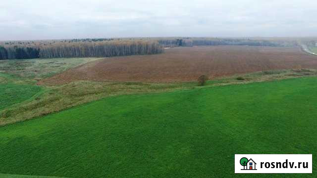 Участок СНТ, ДНП 100 сот. в аренду в Серпухове Серпухов - изображение 1