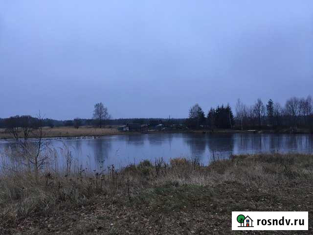 Дом 27.6 м² на участке 32 сот. на продажу в Жуковке Жуковка - изображение 1