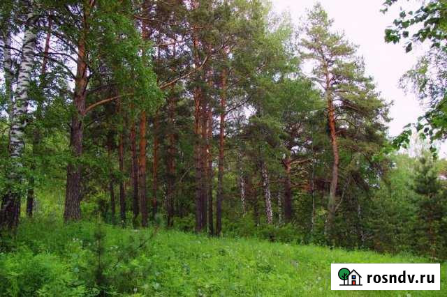 Участок ИЖС 15 сот. на продажу в Бердске Бердск - изображение 1