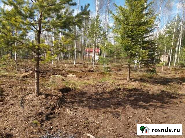 Участок СНТ, ДНП 8 сот. на продажу в Гарболово Гарболово - изображение 1