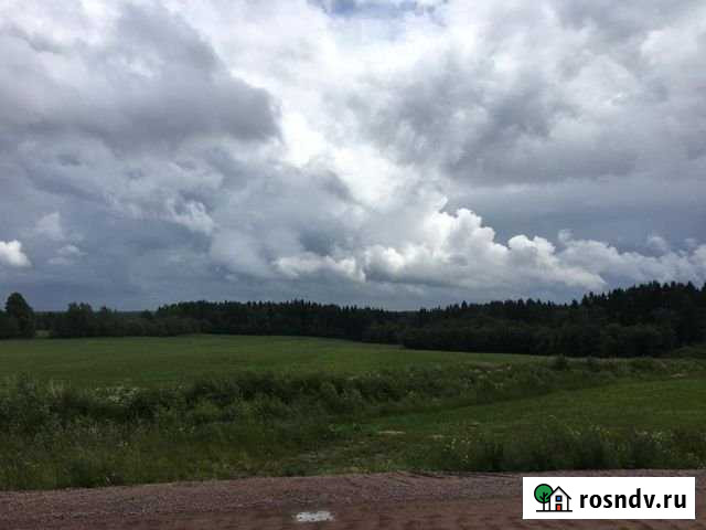 Участок СНТ, ДНП 100 сот. на продажу в Сосново Сосново - изображение 1