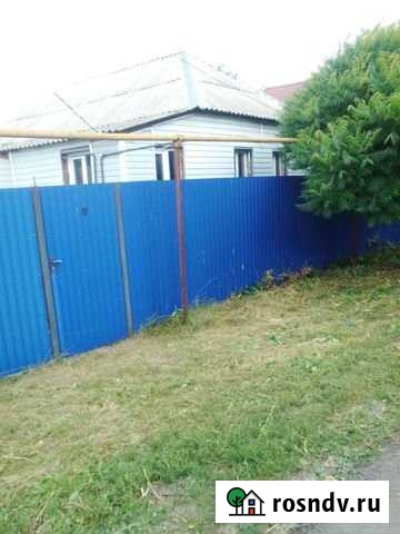 Дом 50 м² на участке 17 сот. на продажу в Головчино Головчино - изображение 1