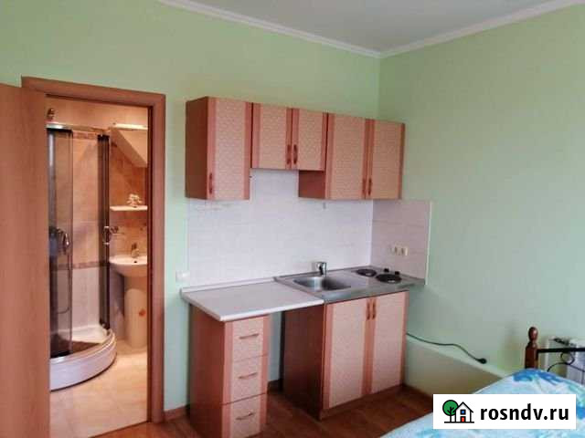 1-комнатная квартира, 24 м², 17/18 эт. в аренду на длительный срок в Химках Химки - изображение 1